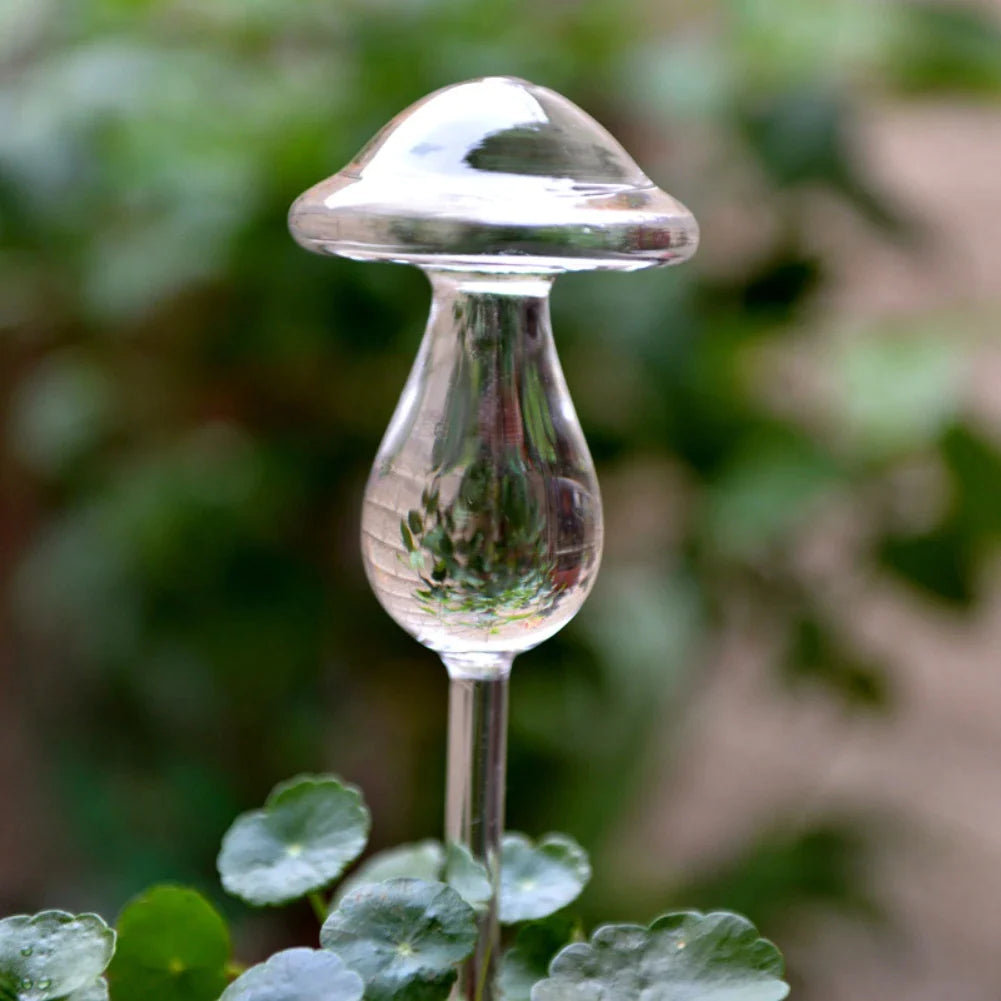 Champignon Arroseur en Verre